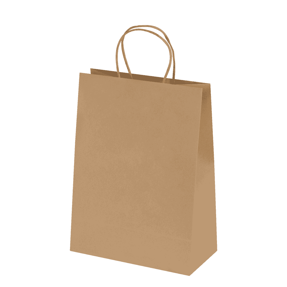 Bags - Ashdown Small Paper Gift Bag with Twisted Handles - Kraft - 150GSM