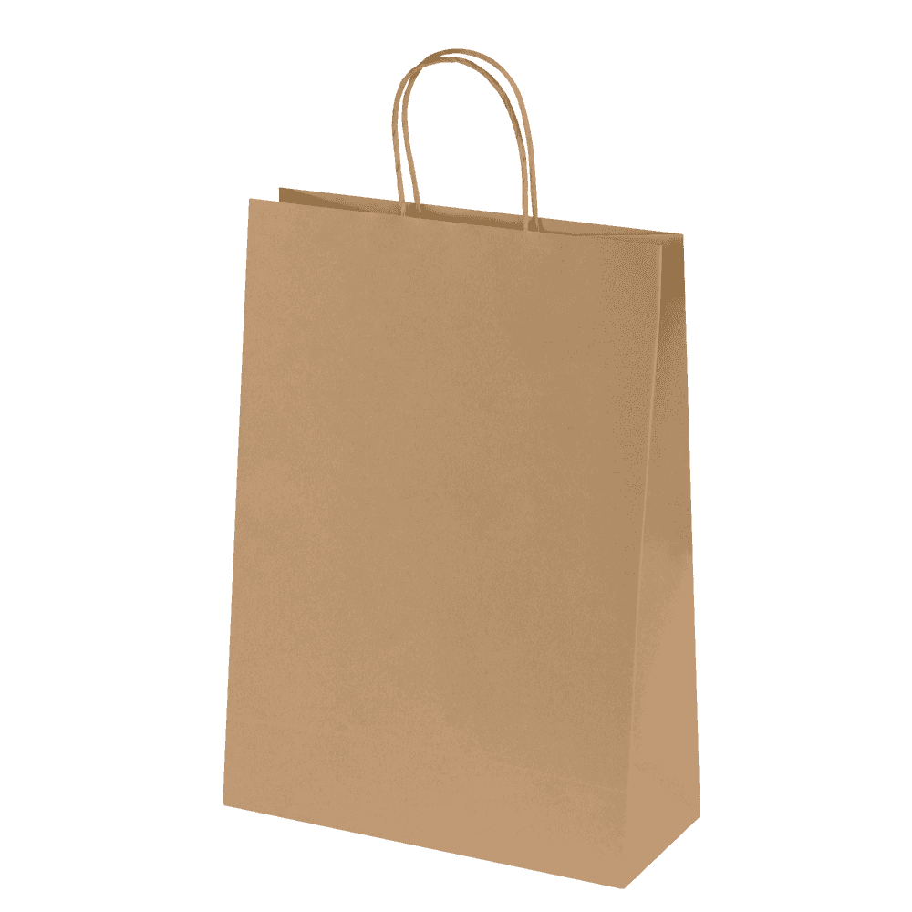 Bags - Ashdown Medium Paper Gift Bag with Twisted Handles - Kraft - 150GSM