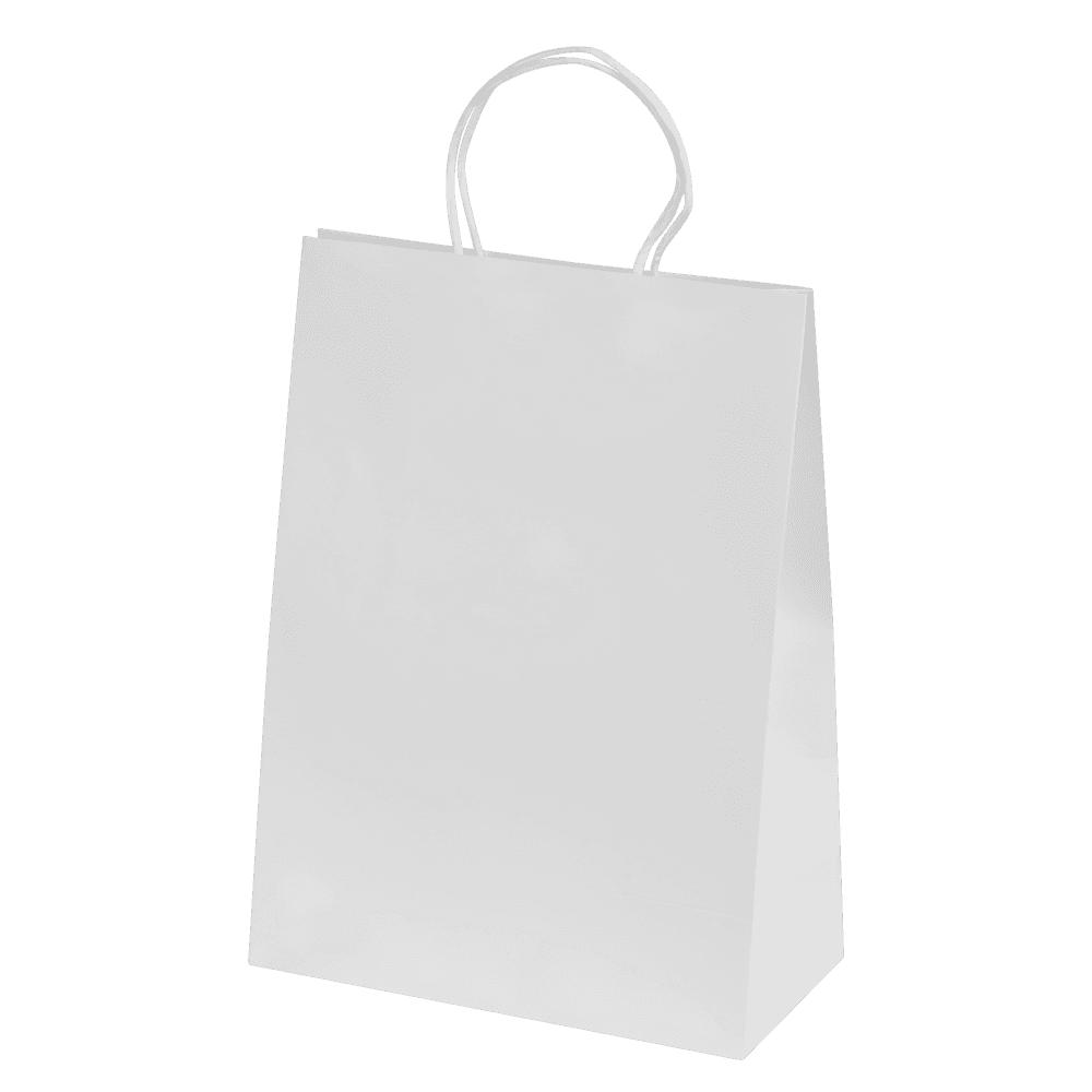 Bags - Ashdown Medium Paper Gift Bag with Twisted Handles